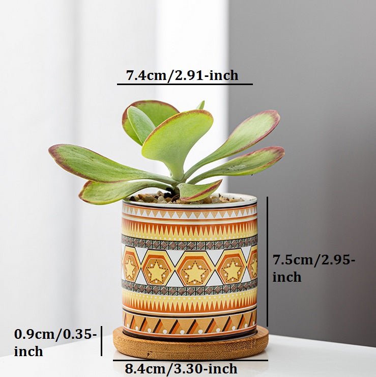Cylindrical Mini Ceramic Succulent Planters with Bamboo Tray - Plants Pots - Techmanistan in Pakistan