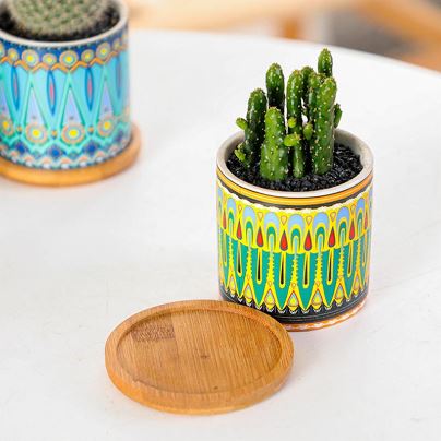 Cylindrical Mini Ceramic Succulent Planters with Bamboo Tray - Plants Pots - Techmanistan in Pakistan