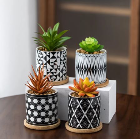Cylindrical Mini Ceramic Succulent Planters with Bamboo Tray - Plants Pots - Techmanistan in Pakistan