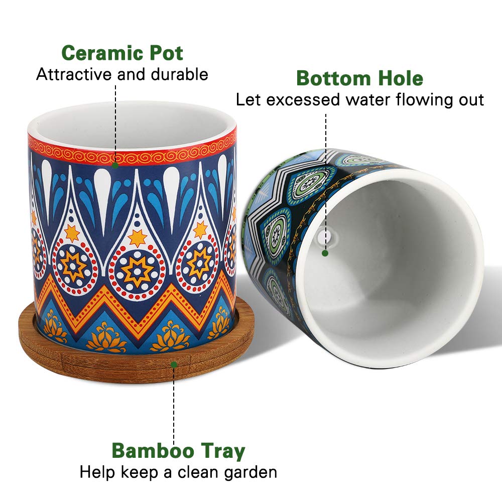Cylindrical Mini Ceramic Succulent Planters with Bamboo Tray - Plants Pots - Techmanistan in Pakistan