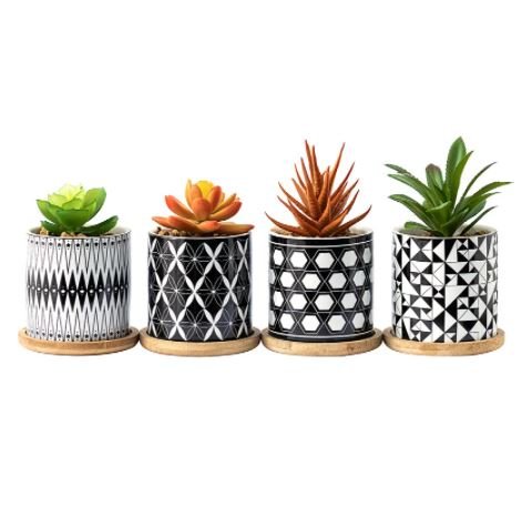 Cylindrical Mini Ceramic Succulent Planters with Bamboo Tray - Plants Pots - Techmanistan in Pakistan