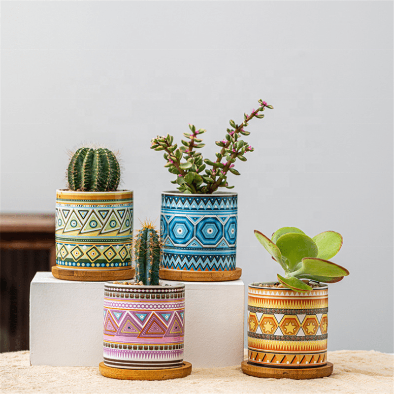 Cylindrical Mini Ceramic Succulent Planters with Bamboo Tray - Plants Pots - Techmanistan in Pakistan