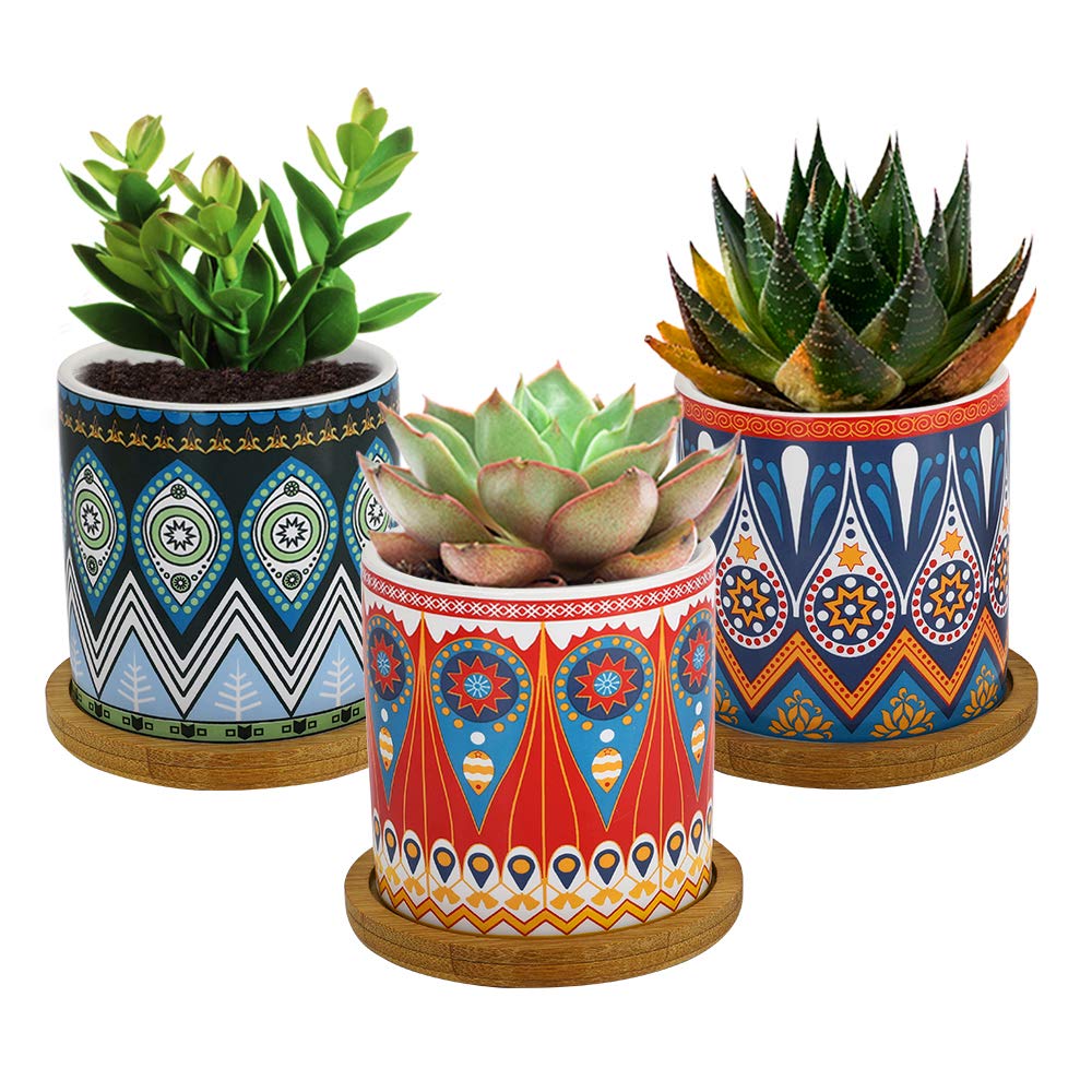 Cylindrical Mini Ceramic Succulent Planters with Bamboo Tray - Plants Pots - Techmanistan in Pakistan