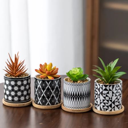 Cylindrical Mini Ceramic Succulent Planters with Bamboo Tray - Plants Pots - Techmanistan in Pakistan