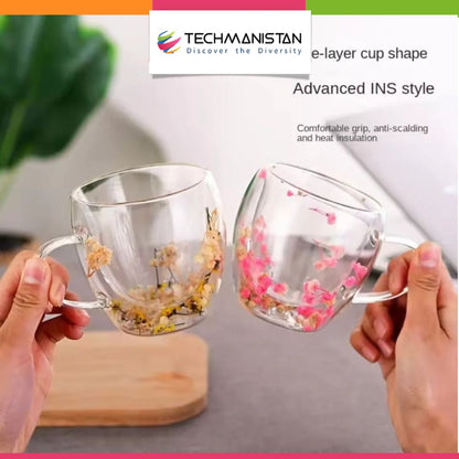 Set of 6 - Mini Double Wall Glass Mug with Dry Flowers Inside
