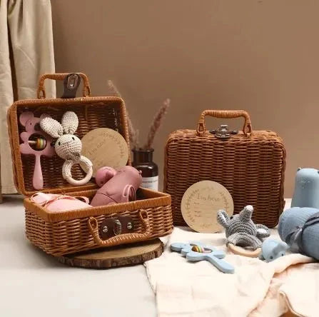 Plastic Rattan Storage Basket With Handle Suitcase Box Techmanistan