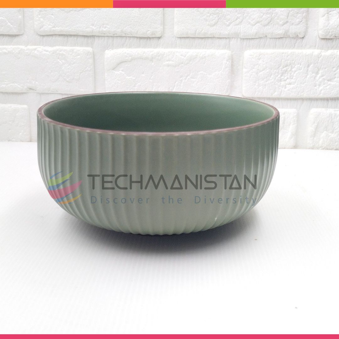 Yogurt & Rice Bowl Ceramic Serving Bowl Techmanistan