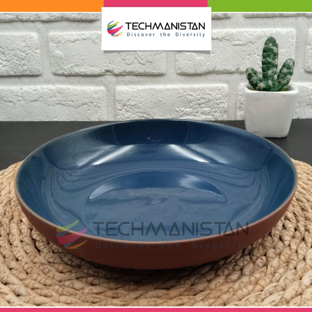 8.5-inch Blue & Terracotta Ceramic Deep \Serving Plate