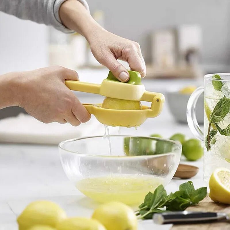 Dual Action Citrus Press Manual Juicer - Techmanistan in Pakistan