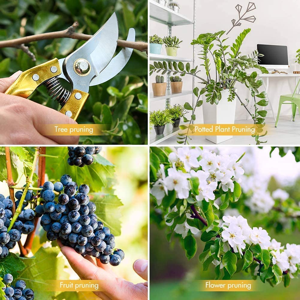 Fruit Tree Thick Branch Pruning Shears Scissor - Techmanistan in Pakistan
