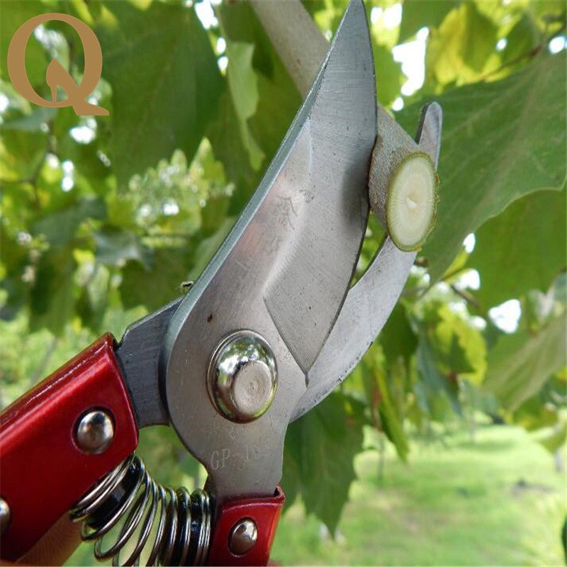 Fruit Tree Thick Branch Pruning Shears Scissor - Techmanistan in Pakistan