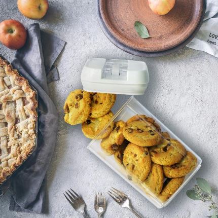 Set of 4 Airtight Food Storage Containers with Locks Lid