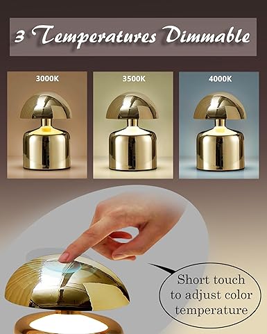 Mushroom LED Table Lamp – Cordless Rechargeable Touch Control Metal Lamp