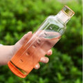 Clear Glass Water Bottle with Time Marker Cover Techmanistan