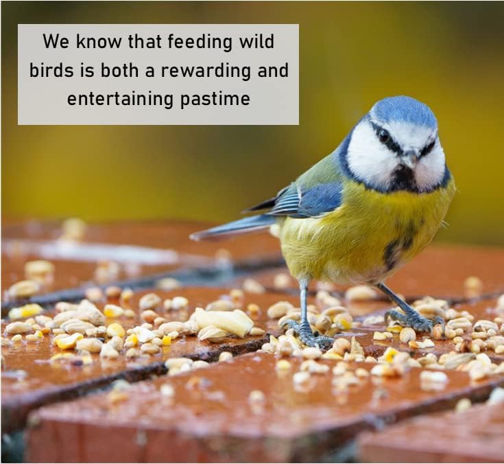 Mixed Bird Feed, Birds Food - Techmanistan in Pakistan