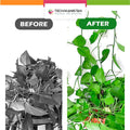 Pack of 10 - Self - Adhesive Plant Climbing Wall Fixture Clips - Techmanistan in Pakistan