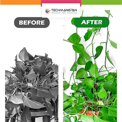 Pack of 10 - Self - Adhesive Plant Climbing Wall Fixture Clips - Techmanistan in Pakistan
