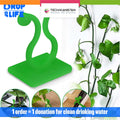 Pack of 10 - Self - Adhesive Plant Climbing Wall Fixture Clips - Techmanistan in Pakistan