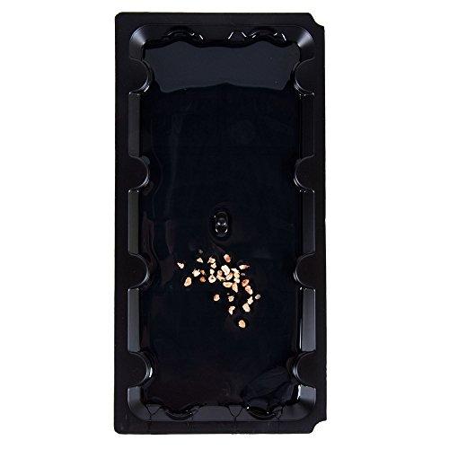 Pack of 2 - Glue Pit Poison Free Adhesive Mouse Glue Traps - Techmanistan in Pakistan