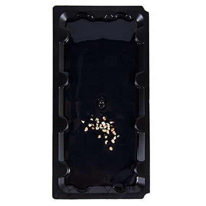 Pack of 2 - Glue Pit Poison Free Adhesive Mouse Glue Traps - Techmanistan in Pakistan