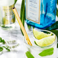 Pack of 5 - Different Diameters Stainless Steel Reusable Drinking Straws With Cleaning Brush - Techmanistan in Pakistan