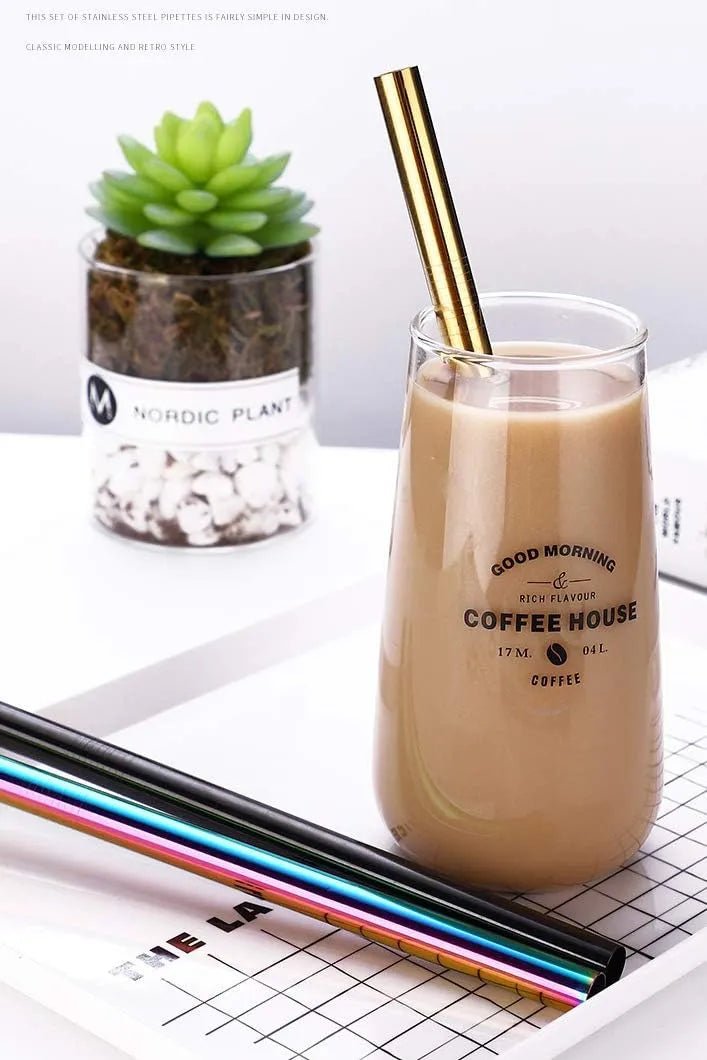 Pack of 5 - Different Diameters Stainless Steel Reusable Drinking Straws With Cleaning Brush - Techmanistan in Pakistan