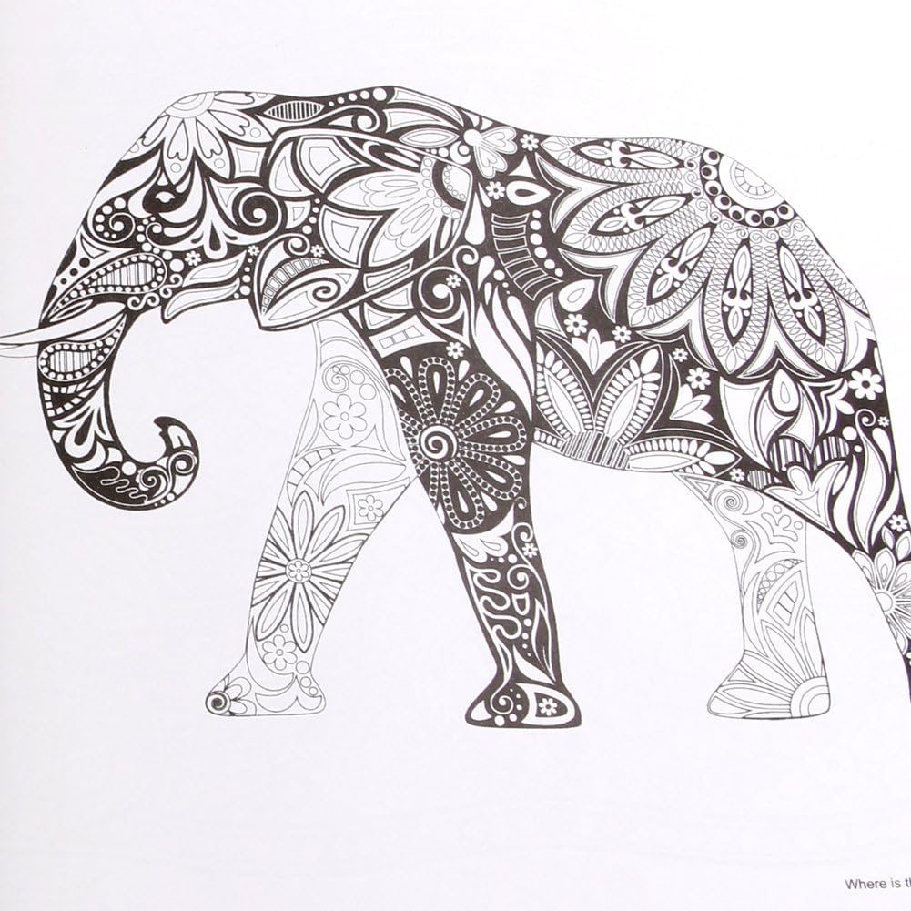 Pack of 8 - Random Design Coloring Books - Techmanistan in Pakistan