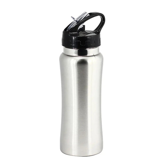 Portable Stainless Steel Water Bottle With Straw - 650 ML - Techmanistan in Pakistan