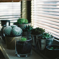 Round Clear Glass Vase - Techmanistan in Pakistan