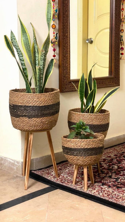 Seagrass Standing Planter Plant Pots With Wooden Legs - Techmanistan in Pakistan