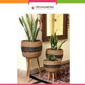 Seagrass Standing Planter Plant Pots With Wooden Legs - Techmanistan in Pakistan