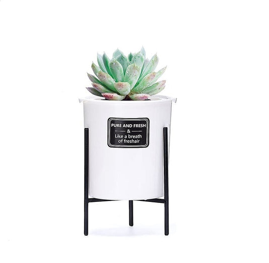 Self Watering Flower Pot With Iron Stand, Indoor Plastic Flower Pot With Cotton Rope, Stand & Container For Water, Self Watering Style Lazy Pot & Iron Stand - Techmanistan in Pakistan