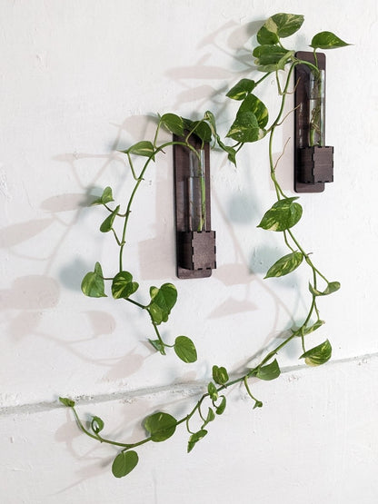 Set of 2 - Wall Mounted Glass Tube Wooden Planters - Techmanistan in Pakistan
