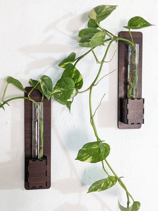 Set of 2 - Wall Mounted Glass Tube Wooden Planters - Techmanistan in Pakistan