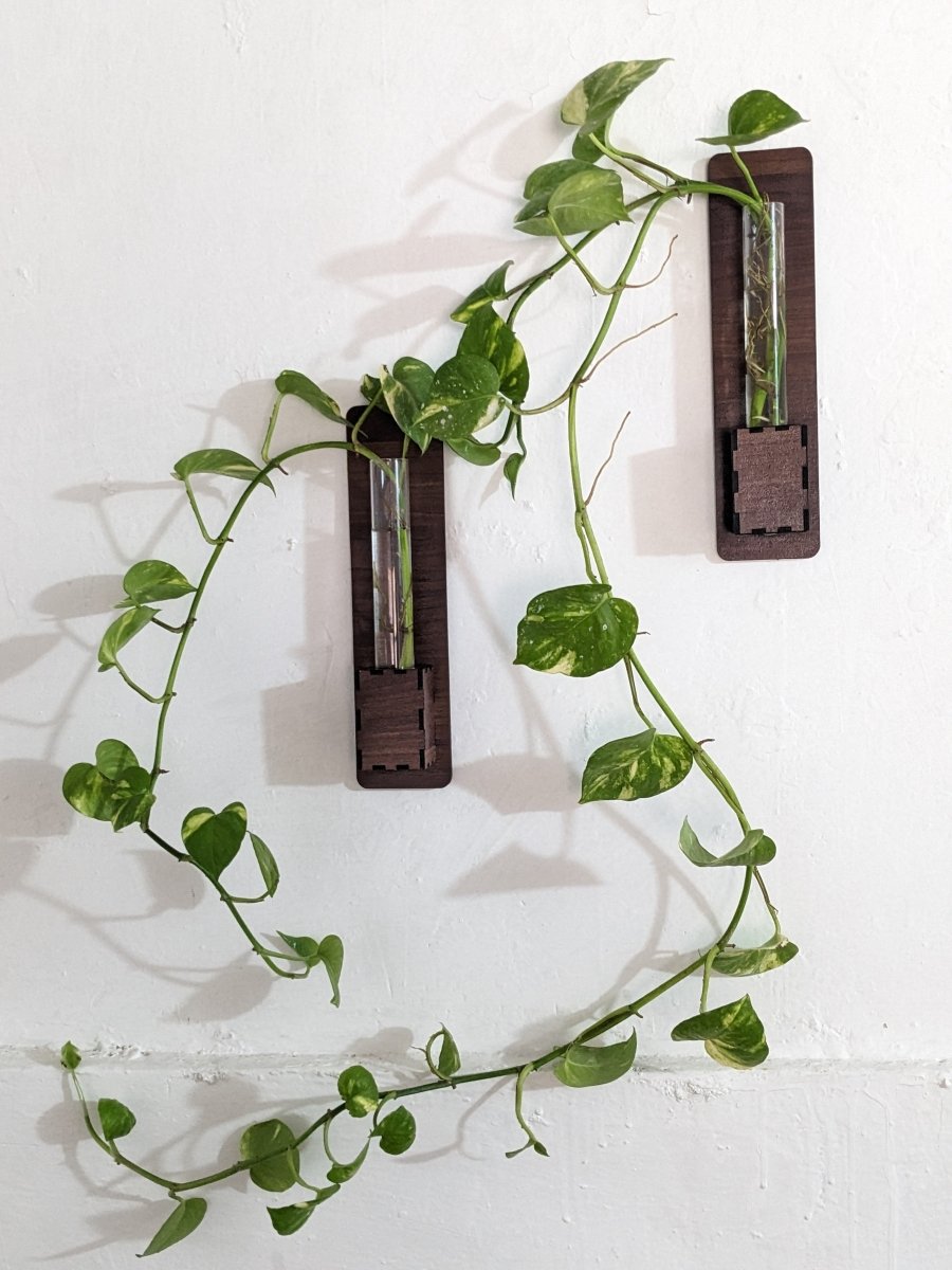 Set of 2 - Wall Mounted Glass Tube Wooden Planters - Techmanistan in Pakistan