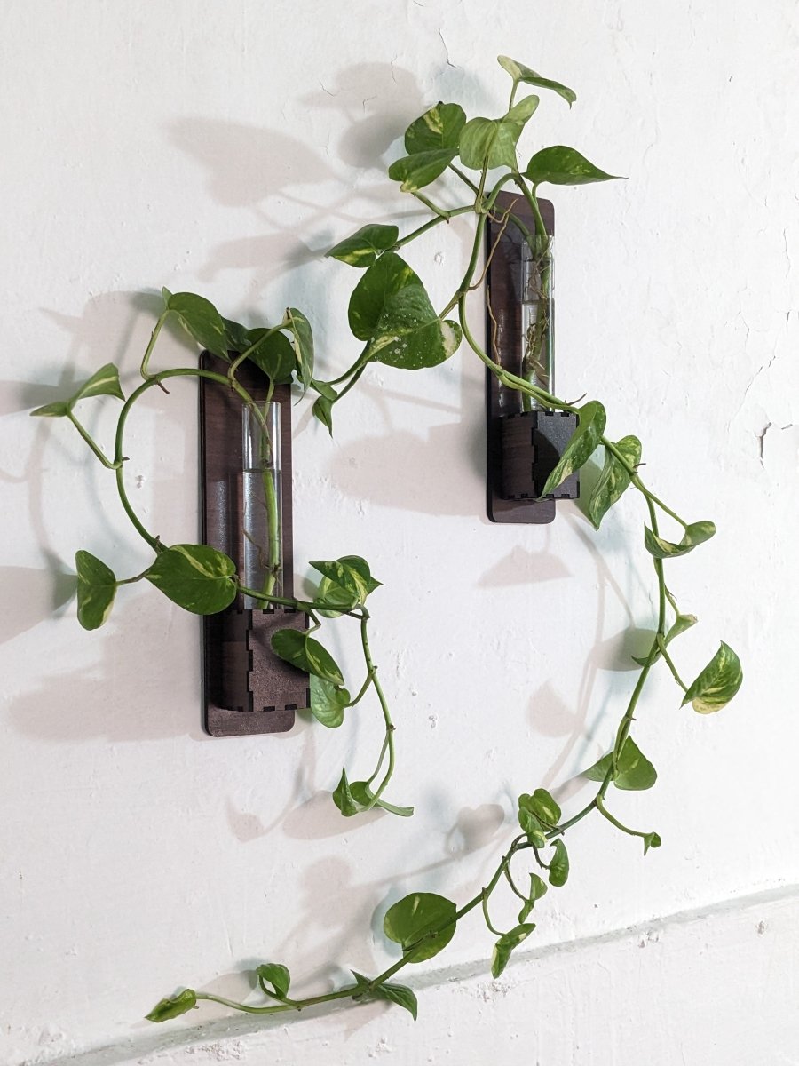 Set of 2 - Wall Mounted Glass Tube Wooden Planters - Techmanistan in Pakistan