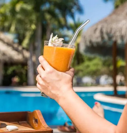 Set of 4 - Reusable Glass Straws With Cleaning Brush - Techmanistan in Pakistan