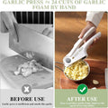 Stainless Steel Ginger & Garlic Hand Press Mincer - Techmanistan in Pakistan