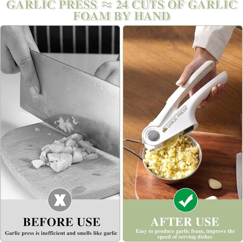 Stainless Steel Ginger & Garlic Hand Press Mincer - Techmanistan in Pakistan