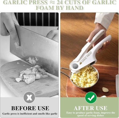 Stainless Steel Ginger & Garlic Hand Press Mincer - Techmanistan in Pakistan