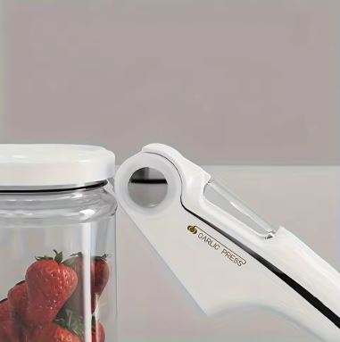Stainless Steel Ginger & Garlic Hand Press Mincer - Techmanistan in Pakistan