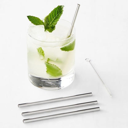 Stainless Steel Reusable Drinking Straws With Cleaning Brush - Techmanistan in Pakistan