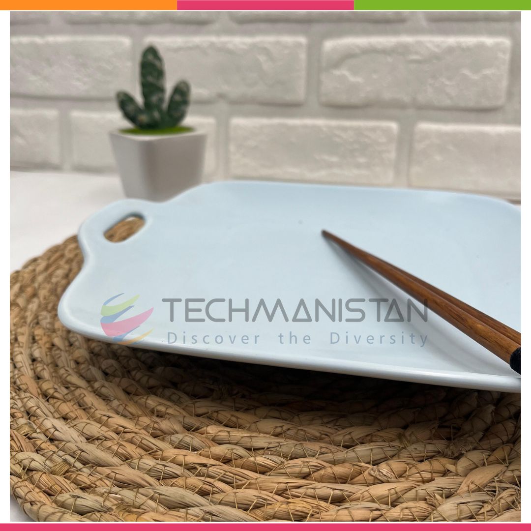 Stoneware Food Serving Tray with Handle - Techmanistan in Pakistan