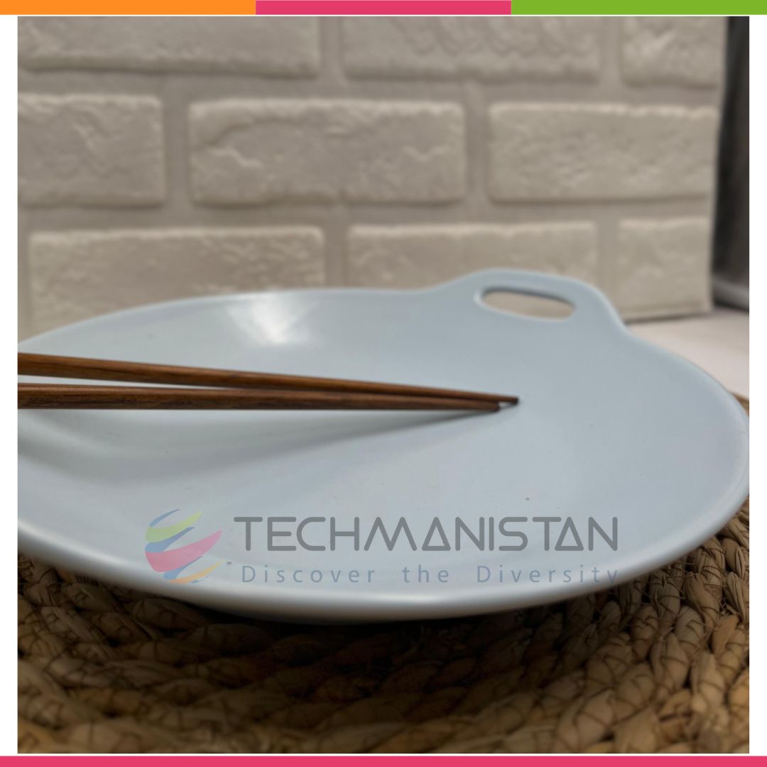 Stoneware Food Serving Tray with Handle - Techmanistan in Pakistan
