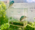 Transparent Acrylic Window Clear Bird Feeders with FREE Birds Feed - Techmanistan in Pakistan