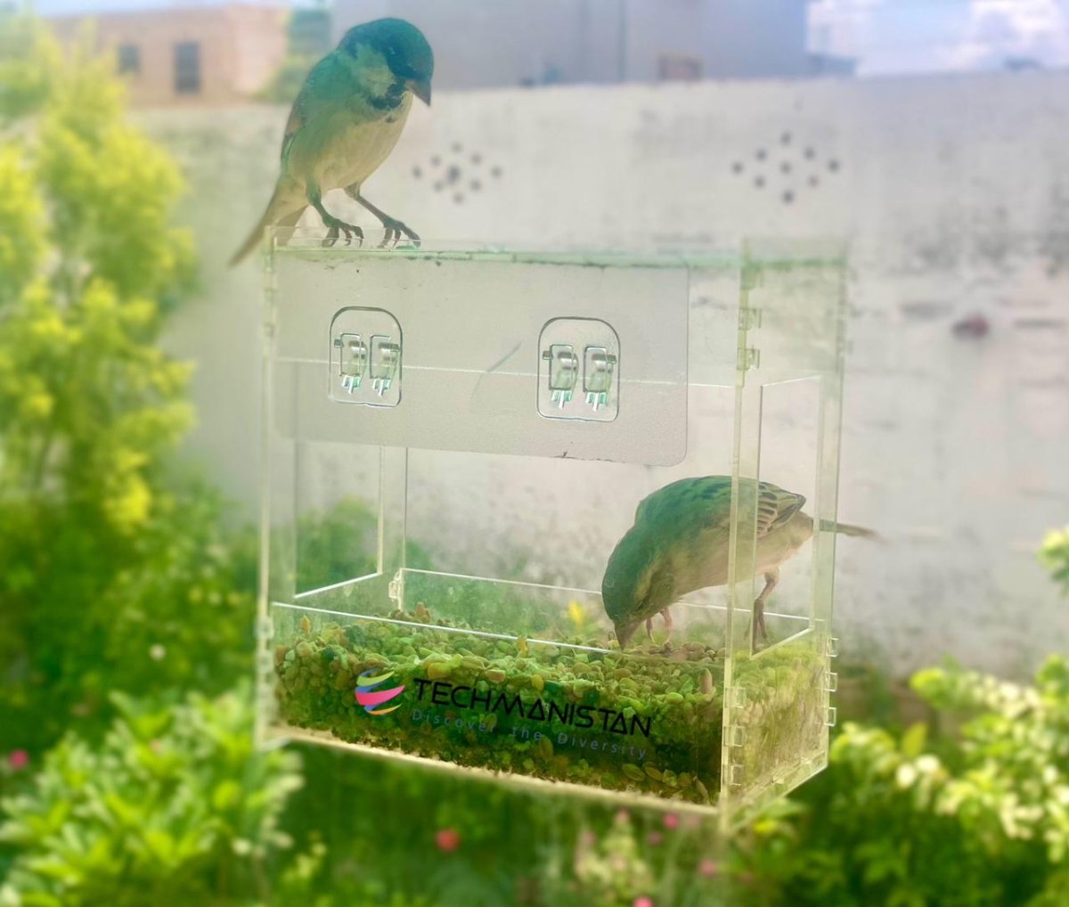 Transparent Acrylic Window Clear Bird Feeders with FREE Birds Feed - Techmanistan in Pakistan