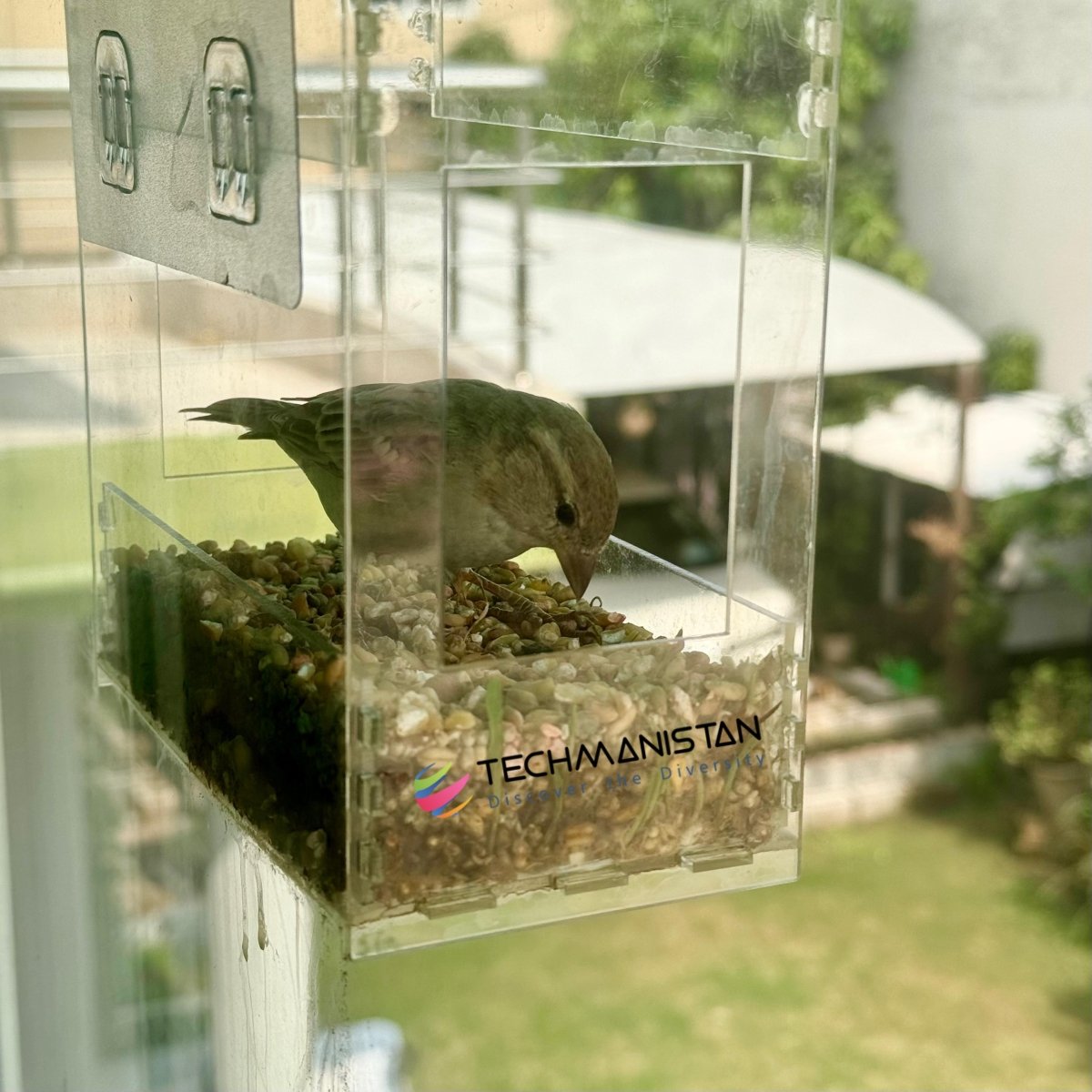 Transparent Acrylic Window Clear Bird Feeders with FREE Birds Feed - Techmanistan in Pakistan