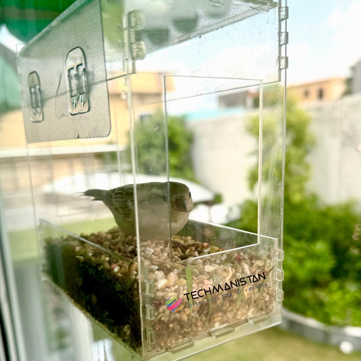 Transparent Acrylic Window Clear Bird Feeders with FREE Birds Feed - Techmanistan in Pakistan
