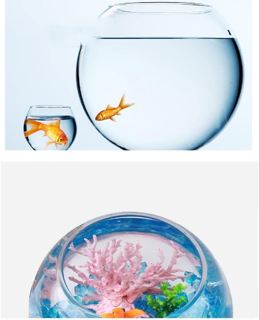 Transparent Decorative Fish Bowl - Techmanistan in Pakistan