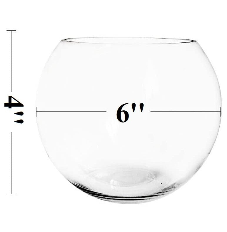 Transparent Decorative Fish Bowl - Techmanistan in Pakistan